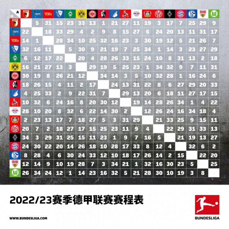 加入到了汤料里，提了味儿